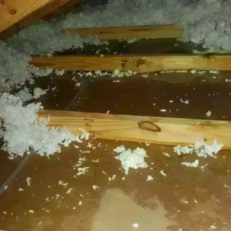 Attic Water Damage in Stratmoor, CO