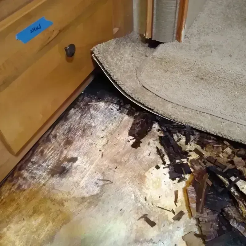 Wood Floor Water Damage in Stratmoor, CO